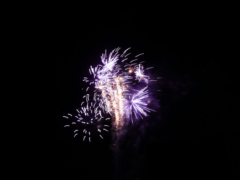 P1050311